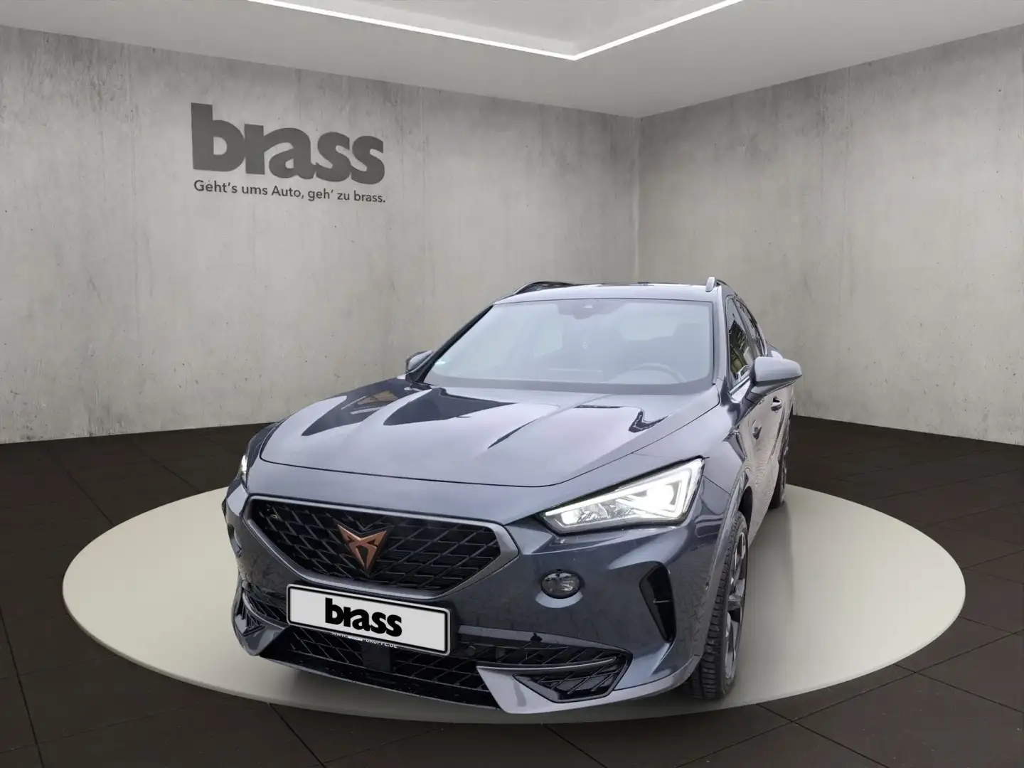 CUPRA Formentor 1.5 TSI Panorama elekt. Heckklappe Grau - 1