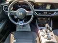 Alfa Romeo Stelvio 2.2 T.d. 160CV AT8 RWD Sprint Bianco - thumbnail 15