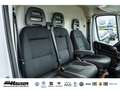 Fiat Ducato Maxi Kasten 35 L2H2 140MJT TECHNO CITY FREIGHT-PLU Weiß - thumbnail 11