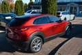 Mazda CX-30 EXCLUSIVE-LINE LED BOSE ACC HUD 360° Rot - thumbnail 5