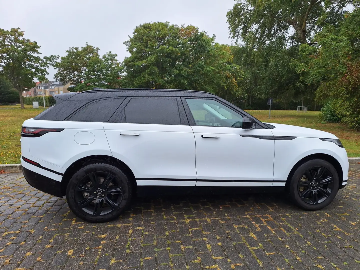 Land Rover Range Rover Velar Velar SE Blanc - 1