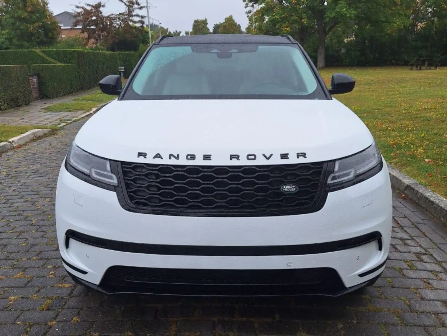 Land Rover Range Rover Velar Velar SE Blanc - 2