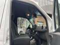 Mercedes-Benz Sprinter F39/33 311 CDI FWD TN Furgone Bianco - thumbnail 12