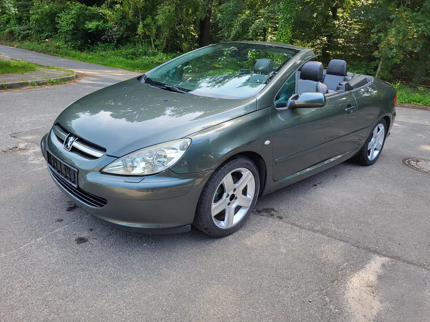 Peugeot 307 Sport Grau - 2