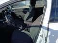 Volkswagen Golf Variant VIII Variant 1.5 TSI 85 kW Life Weiß - thumbnail 7
