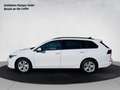 Volkswagen Golf Variant VIII Variant 1.5 TSI 85 kW Life Weiß - thumbnail 2
