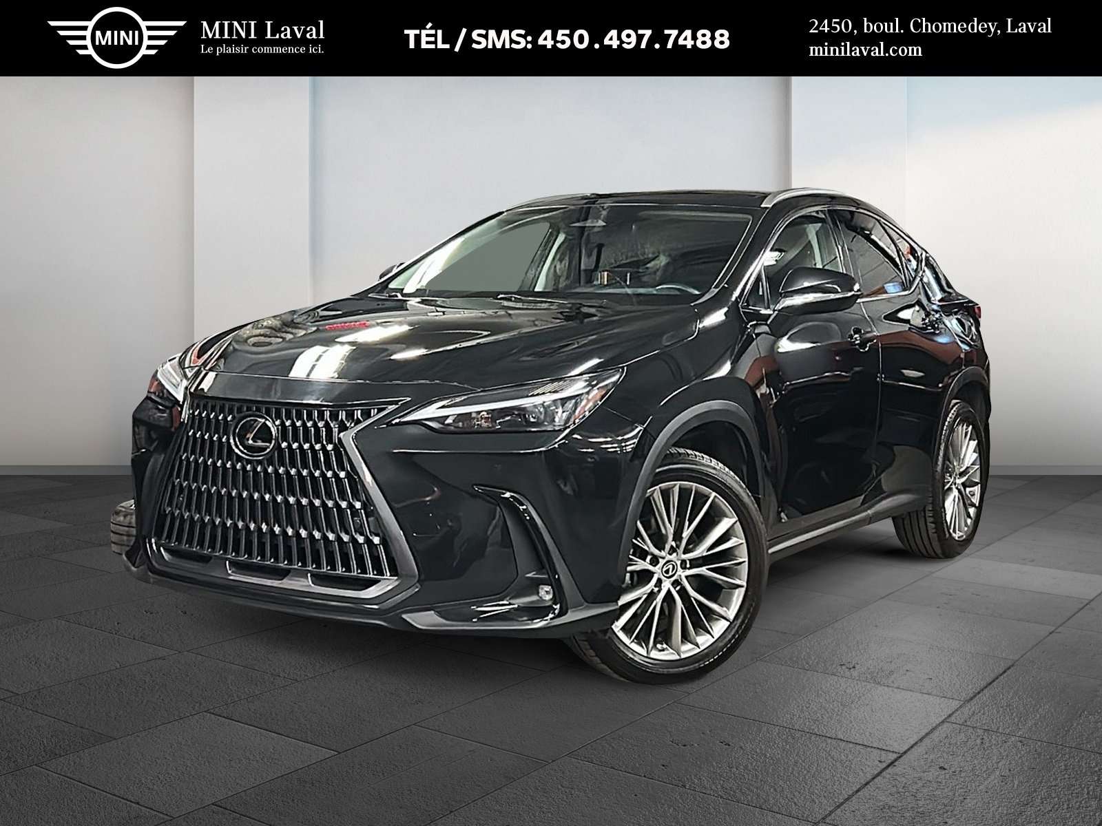 2023 Lexus NX