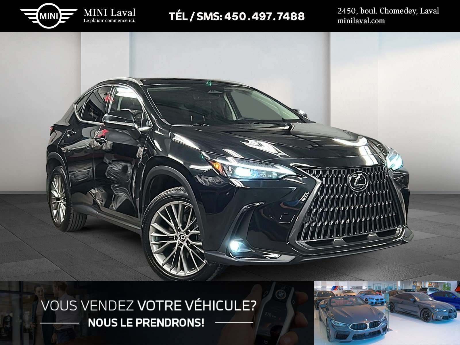 2023 Lexus NX