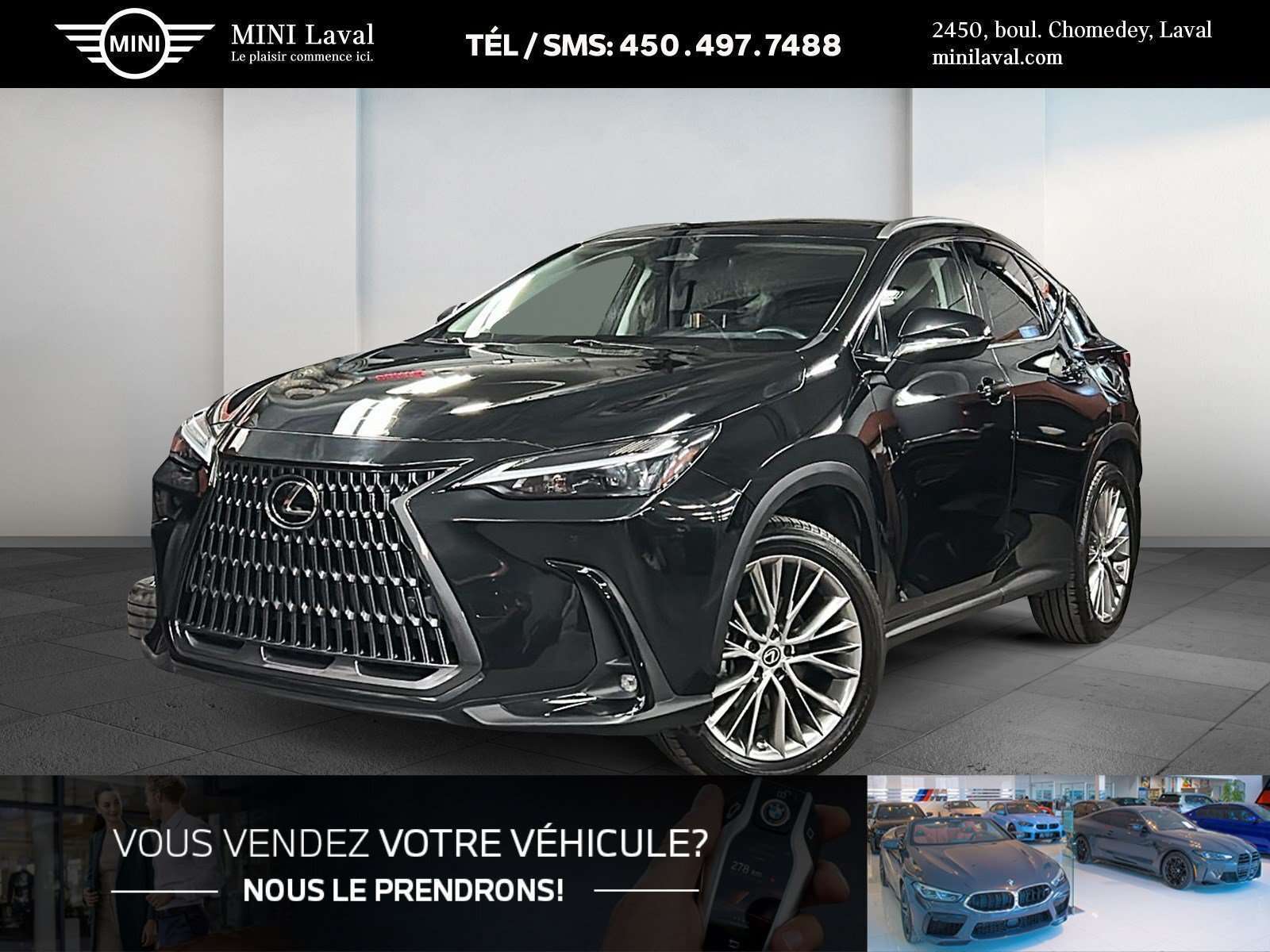 2023 Lexus NX 350