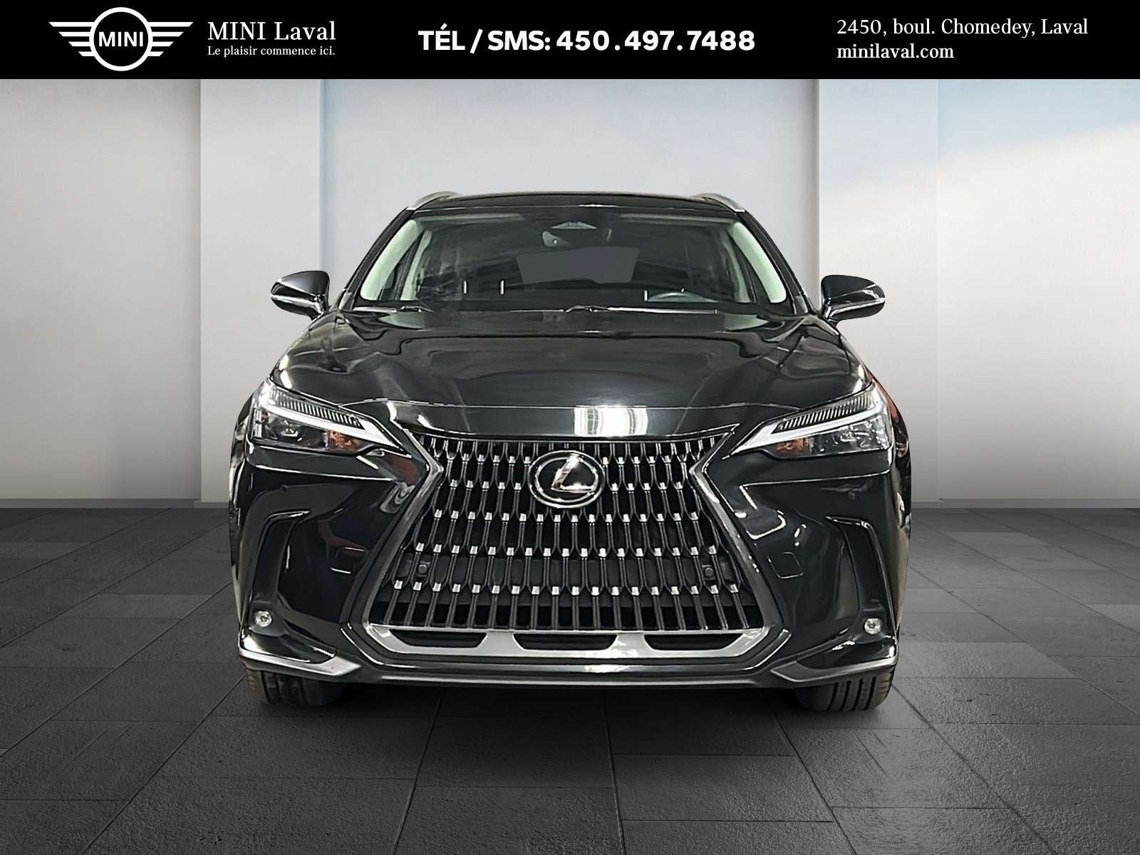 2023 Lexus NX