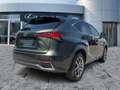 Lexus NX 300 h Executive Line Standhz*Pano*Navi Grün - thumbnail 6