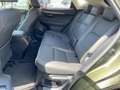 Lexus NX 300 h Executive Line Standhz*Pano*Navi Grün - thumbnail 9