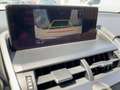 Lexus NX 300 h Executive Line Standhz*Pano*Navi Grün - thumbnail 14
