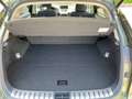 Lexus NX 300 h Executive Line Standhz*Pano*Navi Vert - thumbnail 19