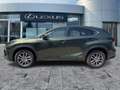 Lexus NX 300 h Executive Line Standhz*Pano*Navi Vert - thumbnail 3