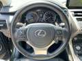 Lexus NX 300 h Executive Line Standhz*Pano*Navi Vert - thumbnail 12