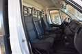 Fiat Ducato 33 2.3 MJT CASSONE RIBALTABILE 140CV Weiß - thumbnail 11