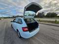 Skoda Fabia 1.4 TDI 90 CV Wagon Active AUTOCARRO N1 Weiß - thumbnail 8