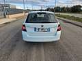 Skoda Fabia 1.4 TDI 90 CV Wagon Active AUTOCARRO N1 Weiß - thumbnail 6