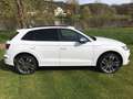 Audi SQ5 3.0 quattro TFSI Luft+NAVI+Massage+Pano+21'' Blanc - thumbnail 4