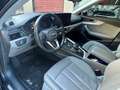 Audi A4 allroad A4  Allroad Quattro 3.0 tdi 272cv tiptronic Blu/Azzurro - thumbnail 9