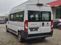 Fiat Ducato L4H2 SHUTTLE-8Sitzer-Kamera*Klimaut.* Blanc - thumbnail 2