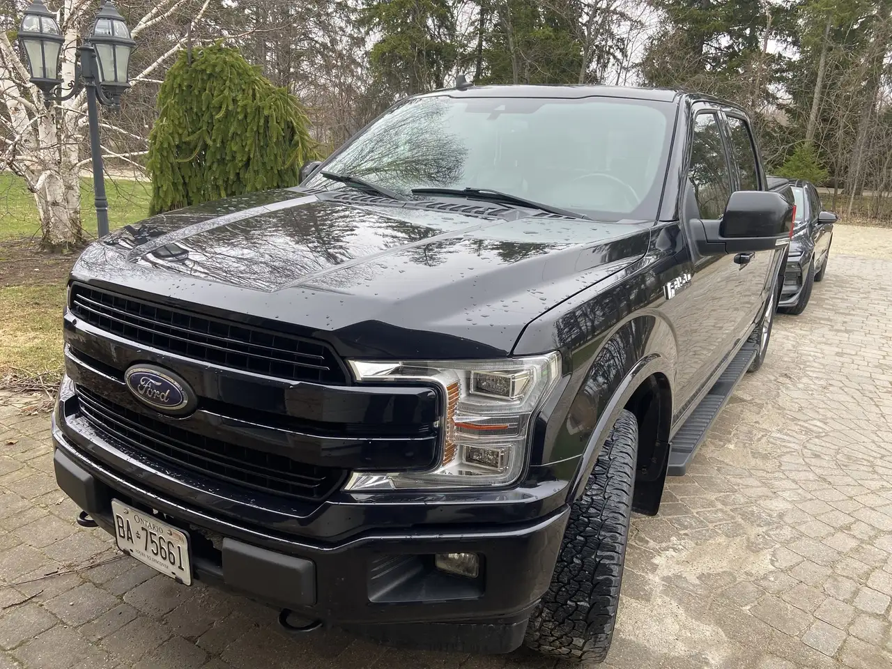 2019 Ford F 150