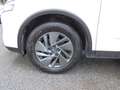 Nissan Qashqai Qashqai   1.3 mhev Business 2wd 158cv xtronic Wit - thumbnail 31