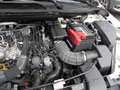 Nissan Qashqai Qashqai   1.3 mhev Business 2wd 158cv xtronic Wit - thumbnail 26