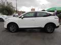 Nissan Qashqai Qashqai   1.3 mhev Business 2wd 158cv xtronic Wit - thumbnail 32