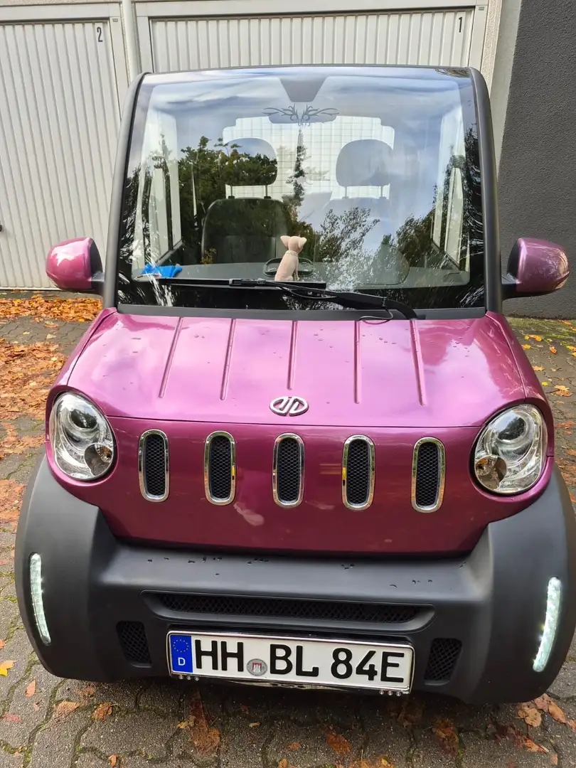 Otros Jiayuan City Spirit Burdeos - 1