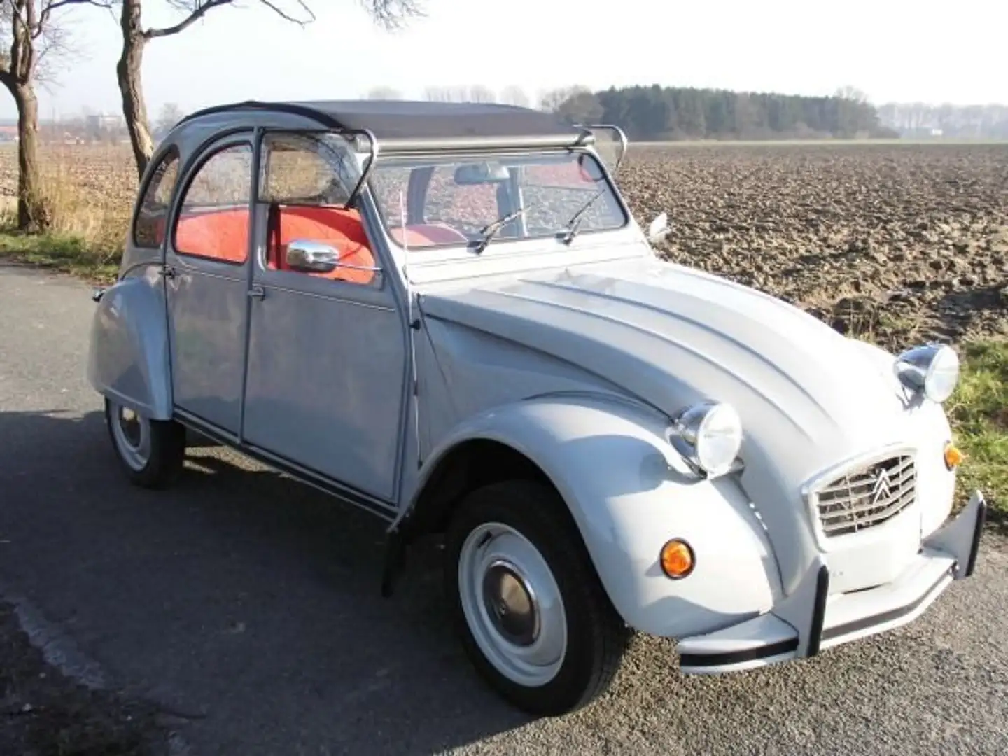 Citroen 2CV Gris - 2