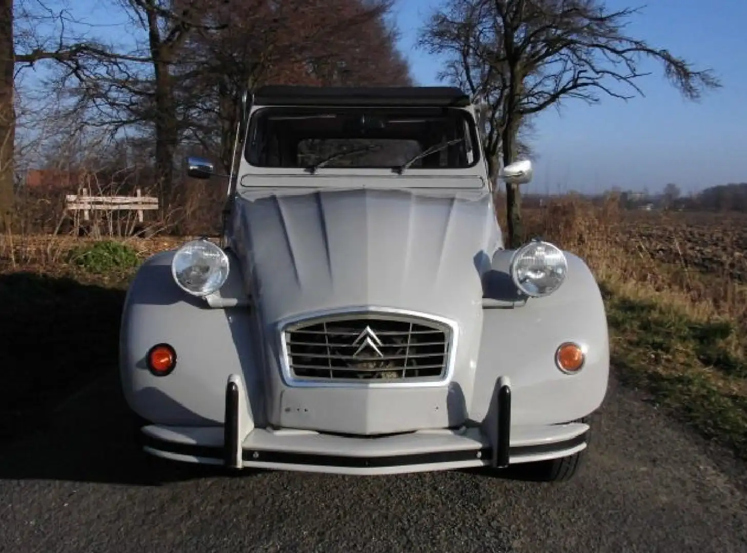 Citroen 2CV Gris - 1