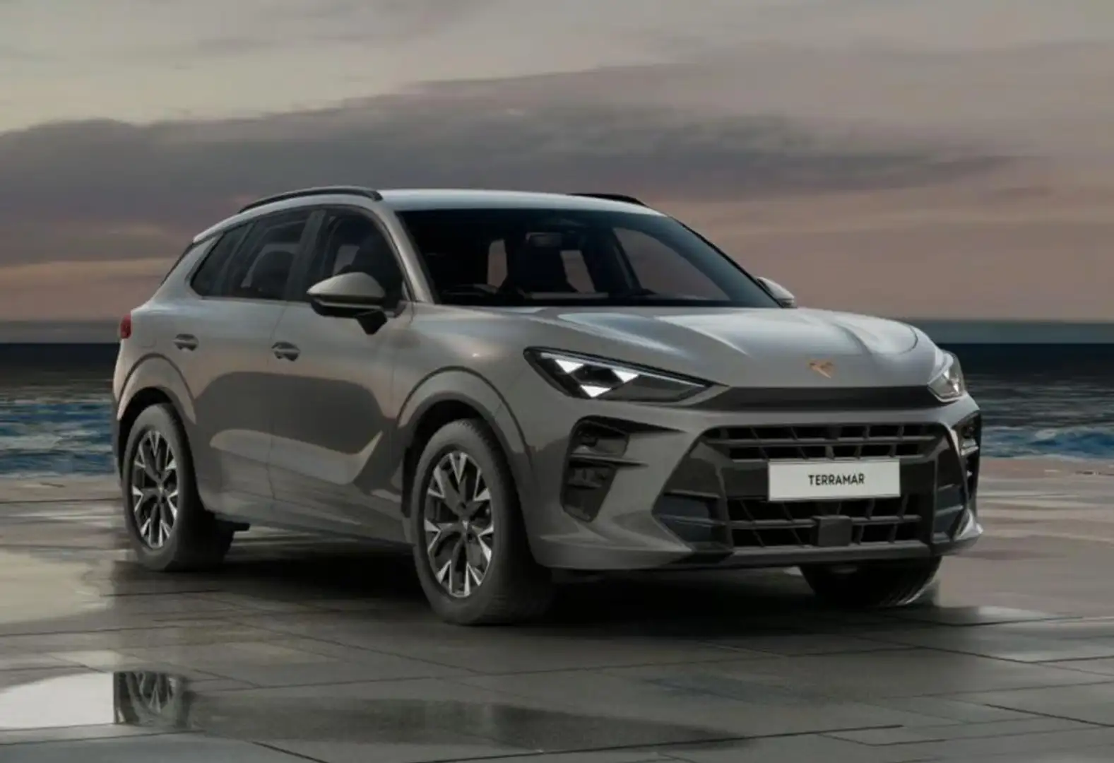 CUPRA Terramar 1.5 hybrid 150cv dsg Grigio - 1