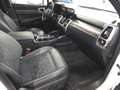 Kia Sorento 2.2CRDi Emotion Pack Luxury 4x4 DCT Bianco - thumbnail 13