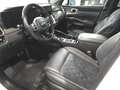 Kia Sorento 2.2CRDi Emotion Pack Luxury 4x4 DCT Bianco - thumbnail 4