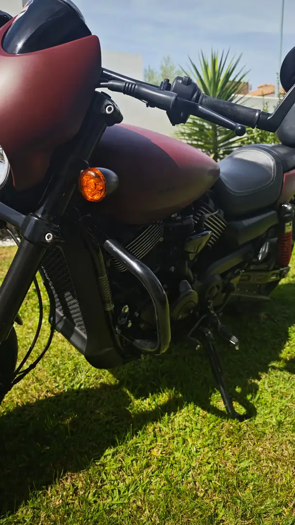 Harley-Davidson Street Rod Street Rod 750 Bruin - 2