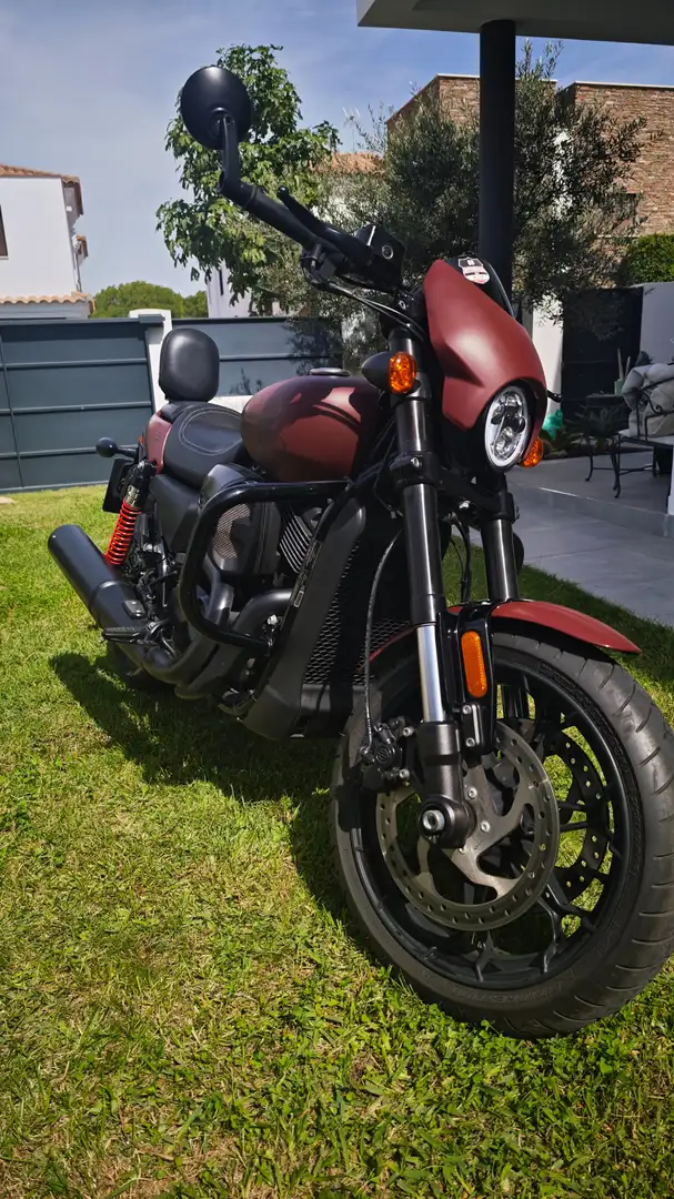 Harley-Davidson Street Rod Street Rod 750 Bruin - 1