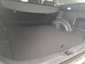 Toyota RAV 4 RAV4 2.5l Hybrid  Teamplayer *Technik-Paket* Wit - thumbnail 7