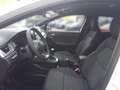 Renault Captur CAPTUR Evolution TCe 115 (MY26) Weiß - thumbnail 14