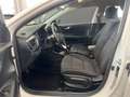 Kia Stonic 1.2 DPI Style Alb - thumbnail 8