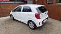 Kia Picanto Edition 7 SHZ, LHZ, 2 Hand Weiß - thumbnail 5