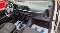 Kia Picanto Edition 7 SHZ, LHZ, 2 Hand Weiß - thumbnail 11