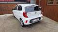 Kia Picanto Edition 7 SHZ, LHZ, 2 Hand Weiß - thumbnail 6