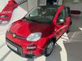 Fiat Panda Pandina Rouge - thumbnail 3