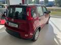 Fiat Panda Pandina Rouge - thumbnail 5