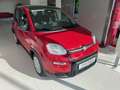 Fiat Panda Pandina Rouge - thumbnail 1