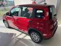 Fiat Panda Pandina Rouge - thumbnail 4