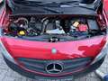 Mercedes-Benz Citan 108 CDI Lang Worker Rot - thumbnail 12