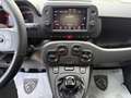 Fiat Panda 1.0 firefly hybrid Sport 70 CV Gris - thumbnail 13